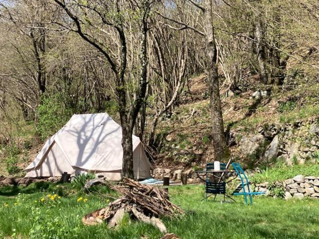 Grande Tente Tipi En Pleine Foret Burzet Extérieur photo